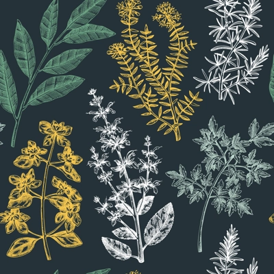 Vector background with typical herbs and spices for Italian cuisine. Hand-sketched kitchen herbal plants illustration. Aromatic food cooking ingredients backdrop. Hand drawn herbs background.